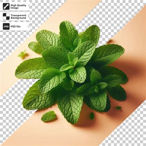 Premium PSD Psd Mint Leaves On Transparent Background