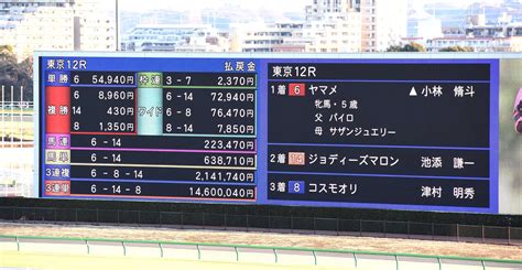 最低16番人気ヤマメがvで大波乱！jra史上3位 単勝5万4940円 競馬ニュース Netkeiba