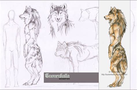 Werewolf form by Tuonenkalla on DeviantArt