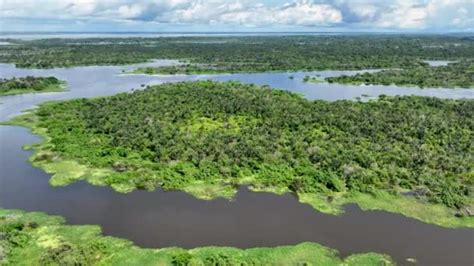 Amazon River Amazon Rainforest Biggest Tropical Rainforest World Manaus