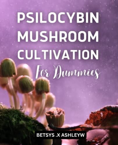 Psilocybin Mushroom Cultivation For Beginners A Guide To Grow