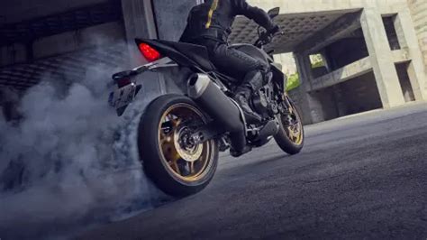 Honda CB Hornet Naked Allrounder Hochleistungs Vierzylinder