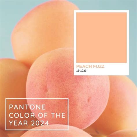 Unveiling Pantones Color Of The Year 2024 As Pantone 13 1023 Peach