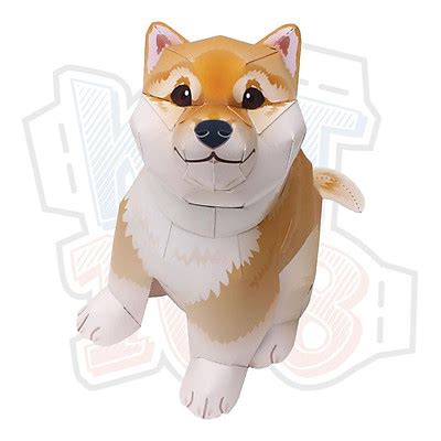 Cập nhật 83 hình shiba cute siêu đẹp Co Created English