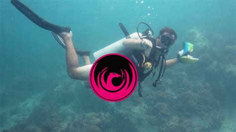 Matt S Th Dive Naked Youtube