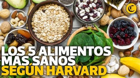 Cual Es El Alimento Mas Sano Del Mundo Actualizado Noviembre 2024