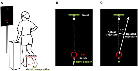 Frontiers Visuomotor Adaptation Of Lower Extremity Movements During