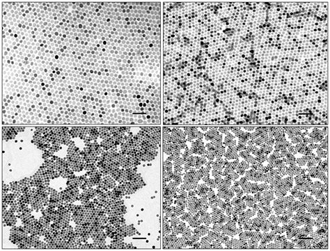 Transmission Electron Microscopy Tem Images Recorded From Samples Download Scientific