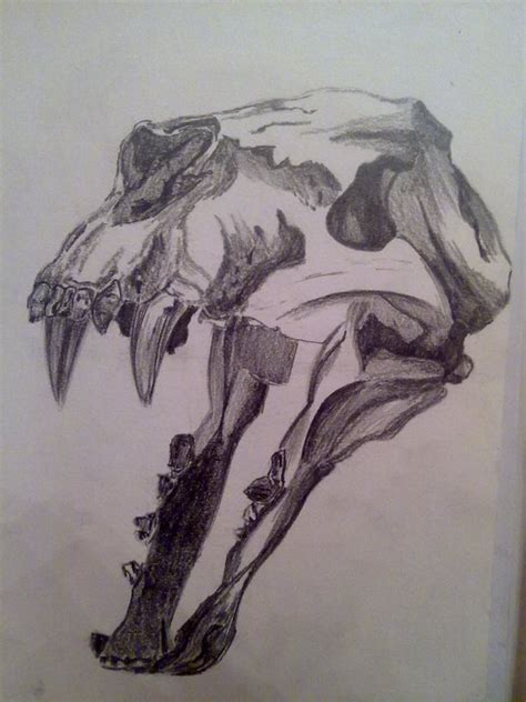 Cheetah Skull by TwoBlueOddSocks on Newgrounds