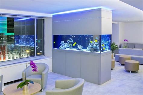 Double Sided Aquariums To Get Inspired Housetodecor