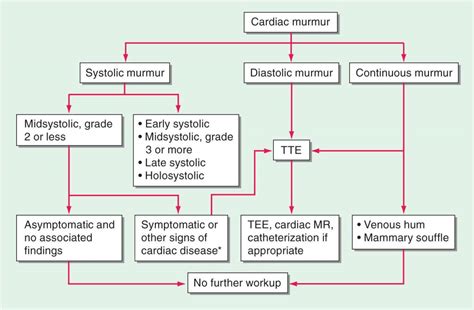 Heart Murmur Chart