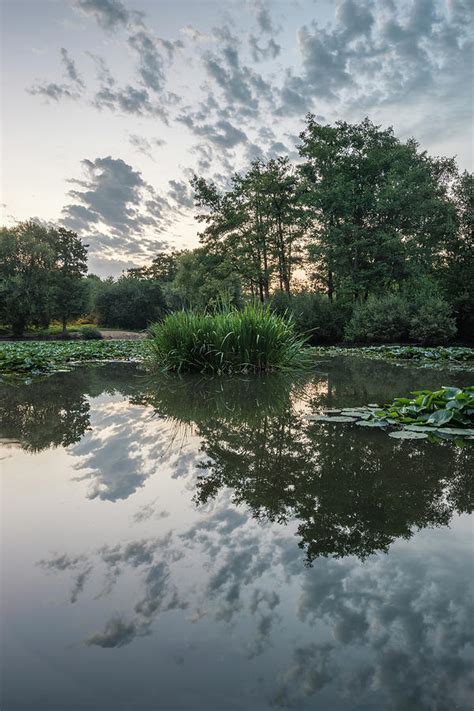 Stunning Sunrise Summer Landscape Over Calm Perfectly Still Pond