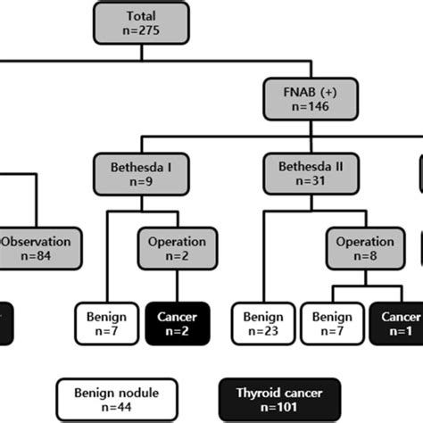 Patient Selection Flow Chart Fnab Fine Needle Aspiration Biopsy Download Scientific Diagram