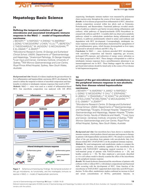 Pdf The Balance Between Hepatocyte Apoptosis And Autophagy Is