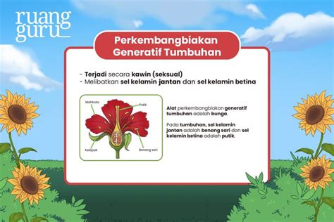 Perkembangbiakan Tumbuhan Secara Generatif Ipa Ilmu Pengetahuan Alam