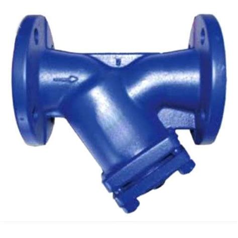 Y Type Strainer SS Y Type Strainer Manufacturer From Ahmedabad