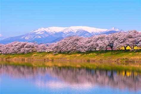 定番から穴場まで！宮城県のおすすめ観光スポット30選 Tripa トリパ ｜旅のプロがお届けする旅行に役立つ情報