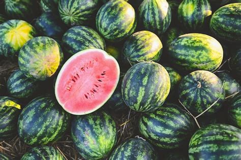 Premium Photo Watermelon Slice In Watermelon Field Fresh Watermelon