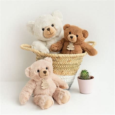 Histoire D Ours Calin Ours Peluche Marron Cm Ho