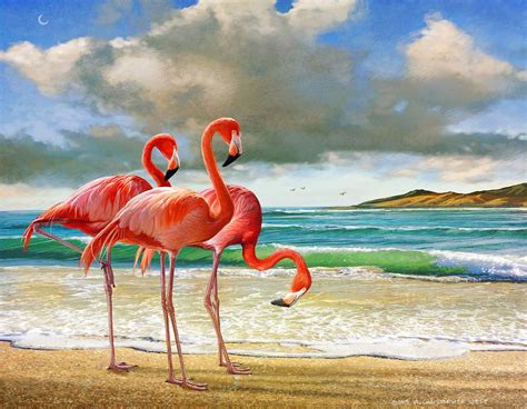 Flamingo Beach By R Christopher Vest Flamingo Painting Flamingo Pictures Flamingo