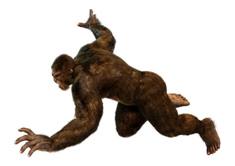 810 Sasquatch Feet Stock Photos Pictures And Royalty Free Images Istock