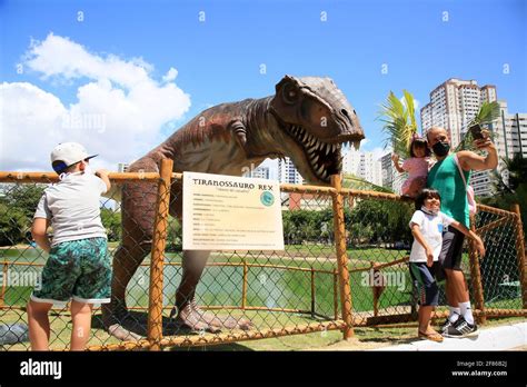 Dinossauros Hi Res Stock Photography And Images Alamy