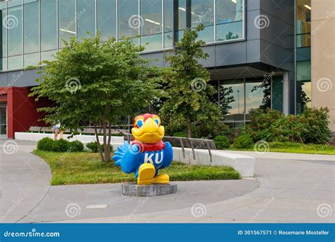 The University of Kansas Jayhawk Editorial Photo - Image of mascot ...