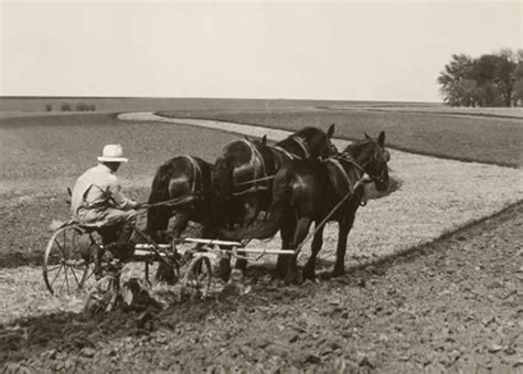 Horse-drawn Plow and Early Contour Farming | Iowa PBS