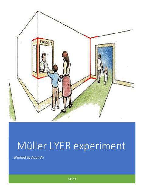 Muller Lyer Illusion | PDF | Psychophysics | Subjective Experience