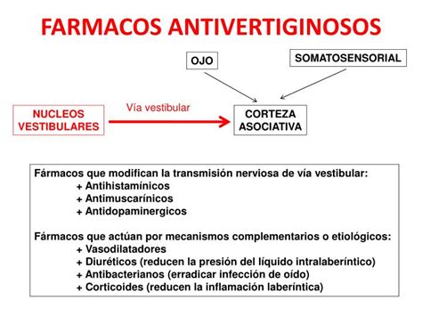 Ppt Asesoramiento Farmaceutico En PatologÍas Oticas Powerpoint