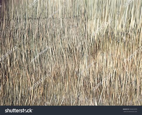 Grasses Thatch Roof Background Texture Wallpaper Stock Photo 550261870 ...