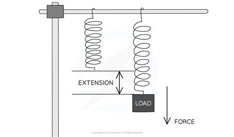 Hooke S Law Edexcel Igcse Physics Revision Notes Save