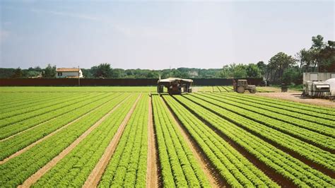What Is The Agriculture In Brazil Agruculture Lore