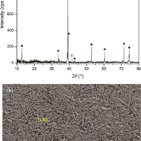 Characterization Of Prepared Ti Alc Sample A Xrd Pattern And B