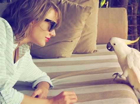 Taylor Swift's 10 Best Instagram Photos From the 1989 Era