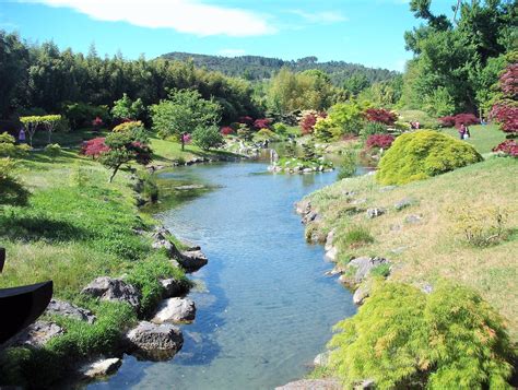 Fotos gratis árbol flor lago río Valle estanque jardín camino