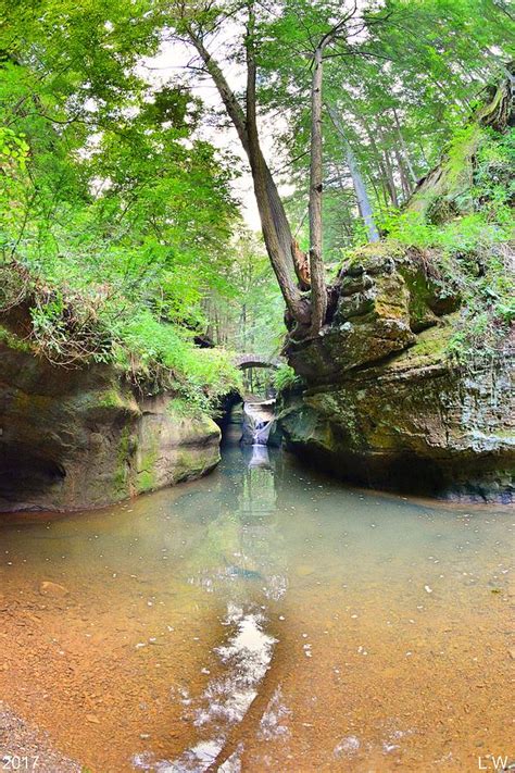 Devils Bathtub At Hocking Hills Ohio Vertical Photograph By Lisa