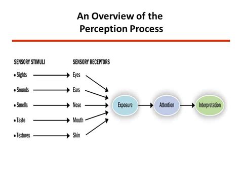 Selective Distortion Tamer Salah