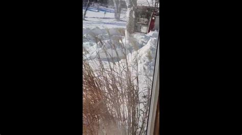 Buffalo Firefighters Dig Themselves Out Of Deep Snow