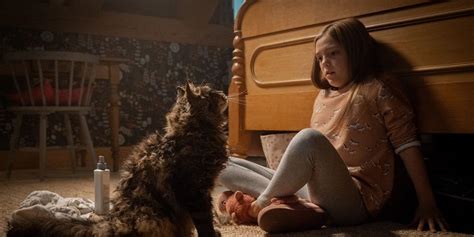 10 Stephen King Movies Referenced In Pet Sematary 2019