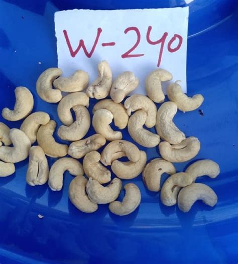 White W Cashew Nut Packaging Size Kg At Rs Kg In Kota Id