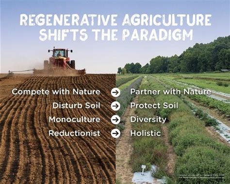 Regenerative Agriculture Farming Practices For Healthy Soil And