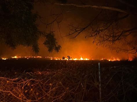 Controlan Incendio De Pastizal En Puente De Ixtla Zona Centro Noticias