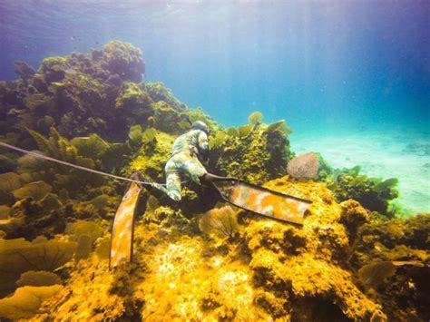 Cozumel Spearfishing World Forum