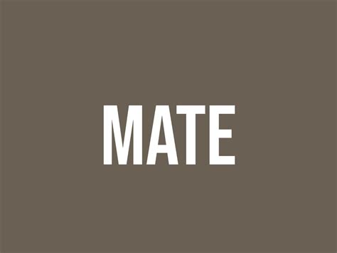 What Does Mate Mean? - Meaning, Uses and More - FluentSlang