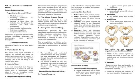 Solution Topic 6 Intrapartum Care Studypool