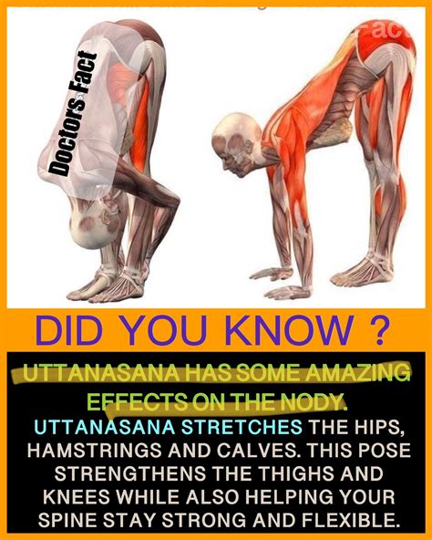 Amazing Benefits of doing Uttanasana pose | Yoga asanas, Fitness facts ...