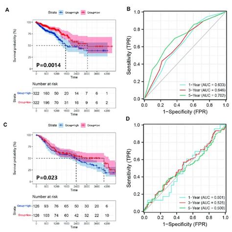 Establishment And Verification Of The Prognostic Model A A