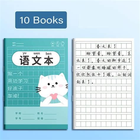 10 carnet Livre D exercices Tian Zige Pinyin Pour L école Cahier De