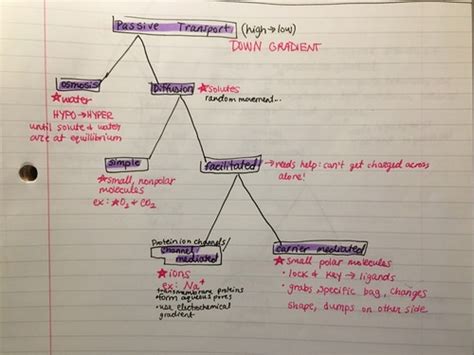 Module Objectives Flashcards Quizlet